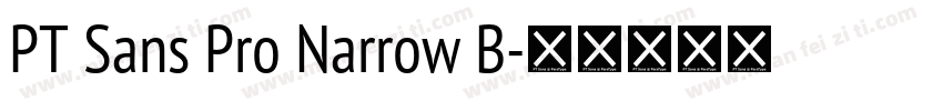 PT Sans Pro Narrow B字体转换